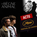 CST L’ACTU - Spéciale Cannes