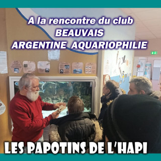 LES PAPOTINS DE L'HAPI - 14 février 2026